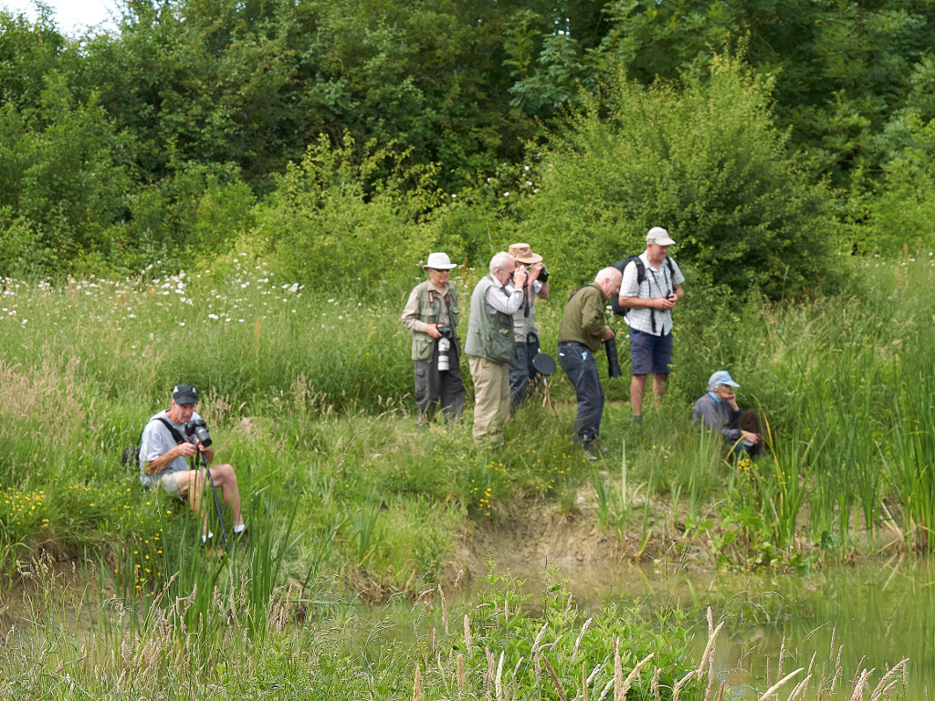 WDG people at Collets Farm
