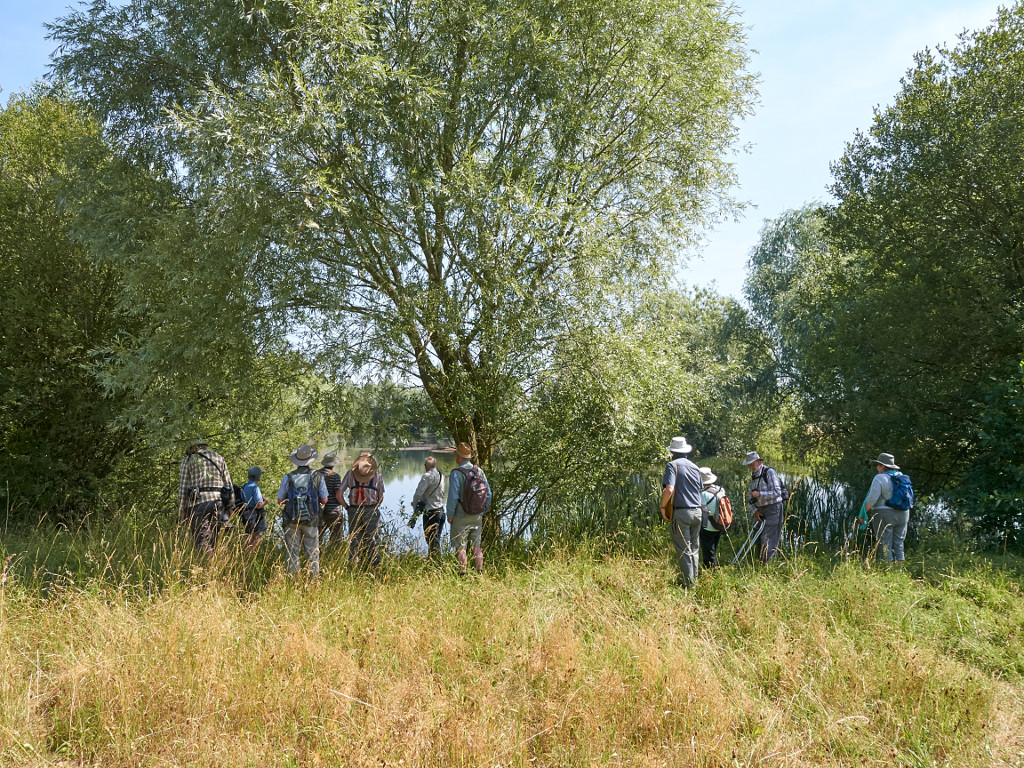 Thelsford Farm Group 2017