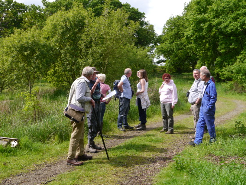 WDG
                   at Alvecote Wood, 22-05-2016